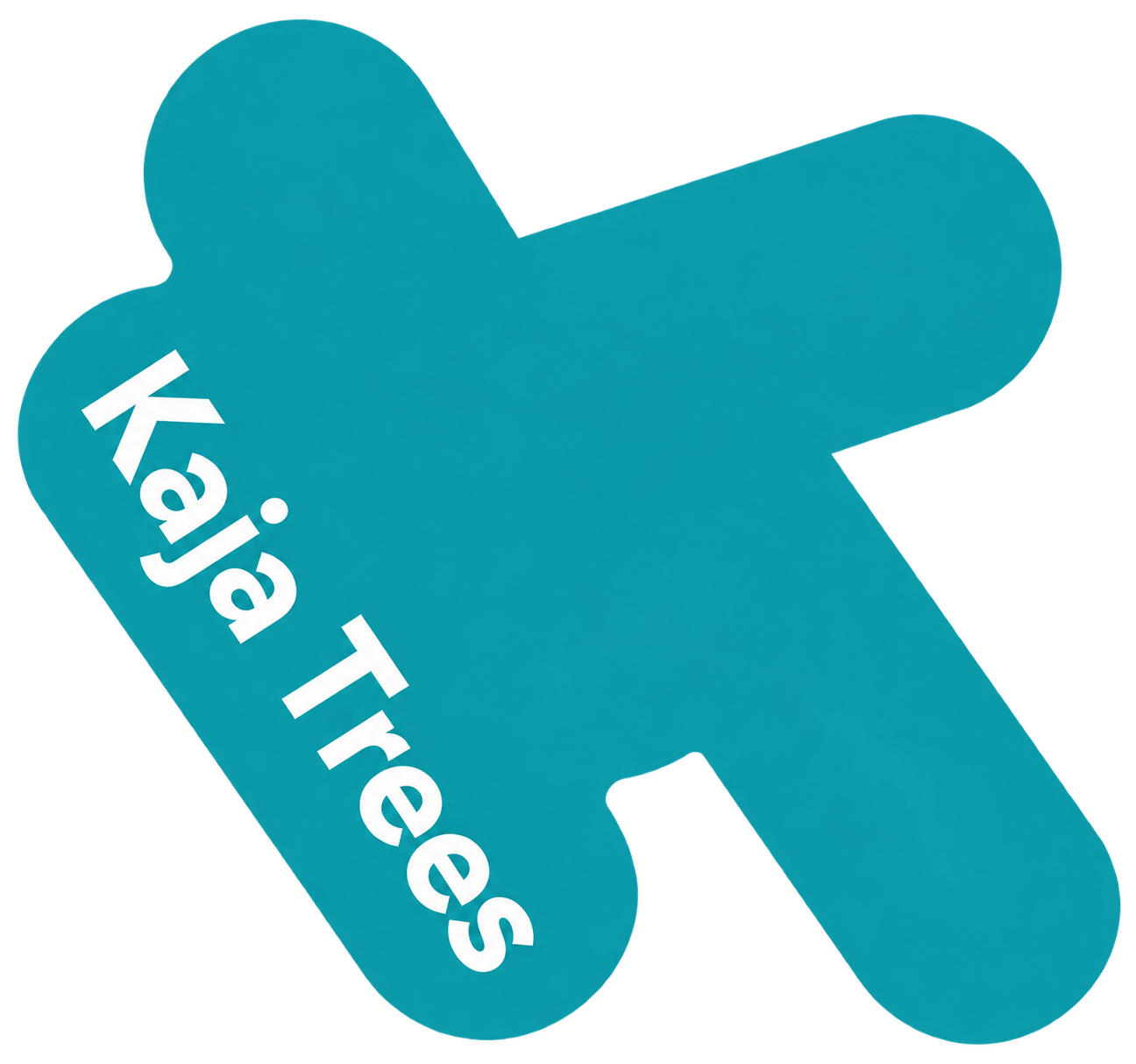 IT-analüüsi koolitused | Kaja Trees Koolitus